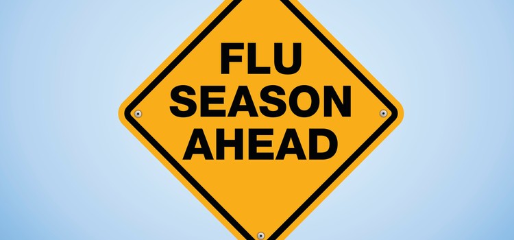 Flu Season: When, What, Why?
