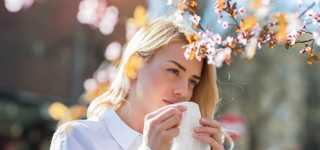allergy klarify