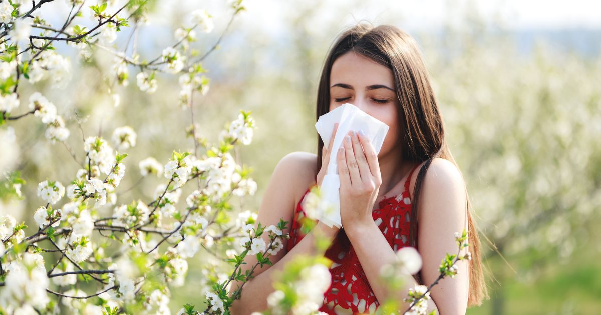 alleviate-your-hayfever-a-guide-to-hayfever-tablets