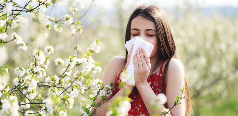 Alleviate your Hayfever: A Guide to Hayfever Tablets