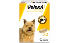 Veloxa Chewable Tablets for Dogs Pack of 2