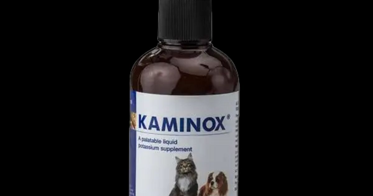 Kaminox Liquid Potassium Supplement 60ml