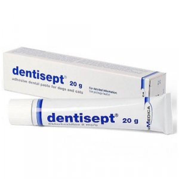 Dentisept Oral Paste 20g