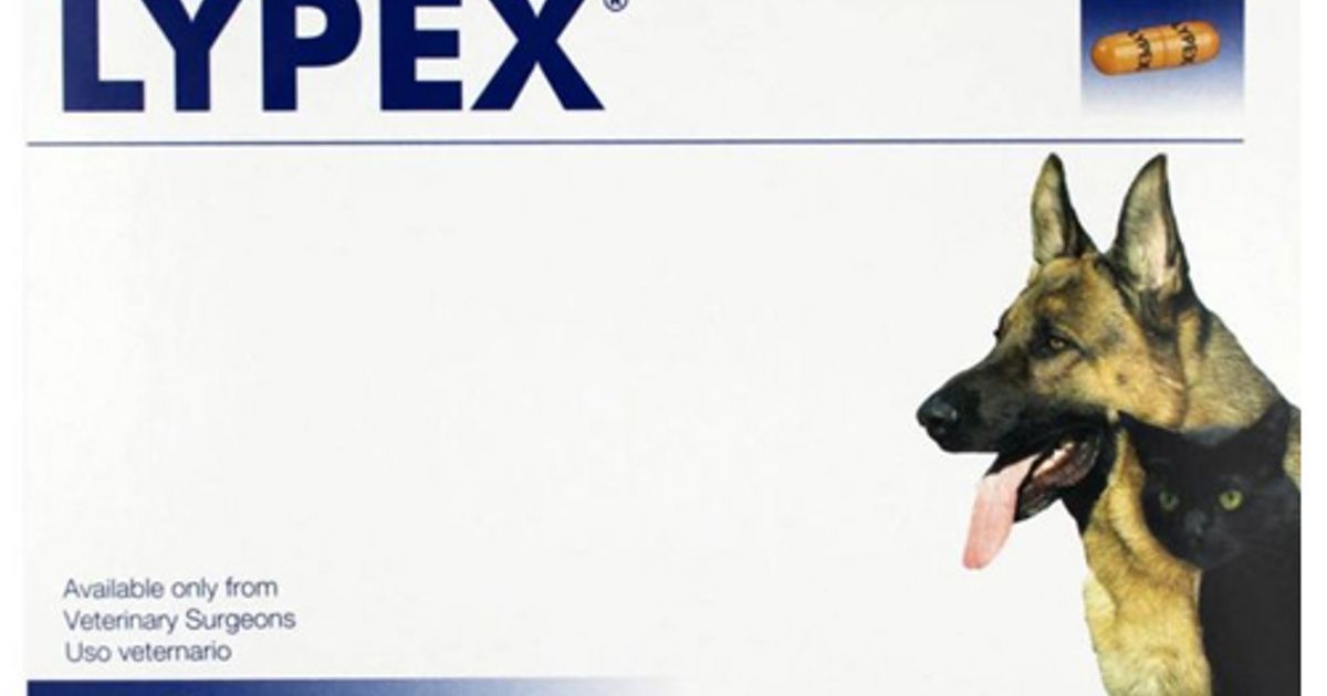 Lypex Pancreatic Enzyme Capsules for Dogs and Cats Pack of 60