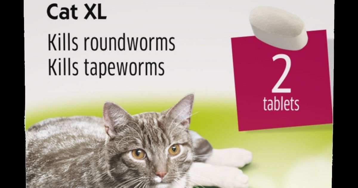 Drontal Cat XL Tape & Roundworm Tablets Pack of 2