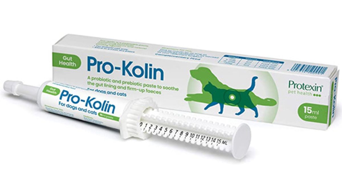 ProKolin Gut Health Supplement for Dogs and Cats 15ml